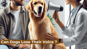 Can Dogs Lose Their Voice ?