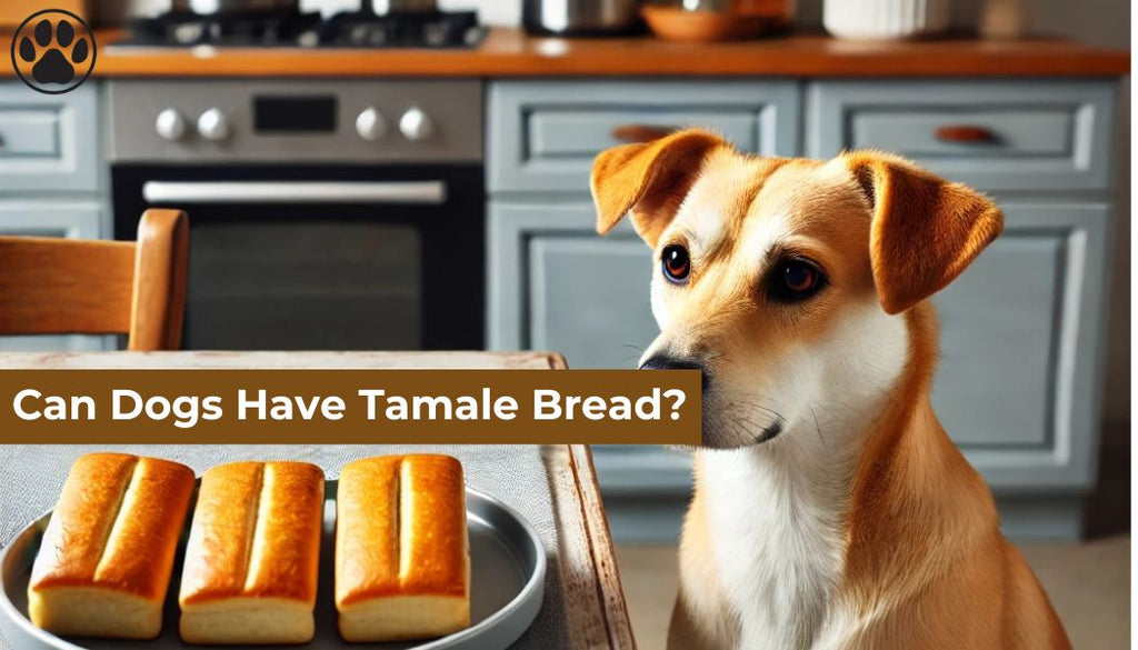 Can Dogs Have Tamale Bread?