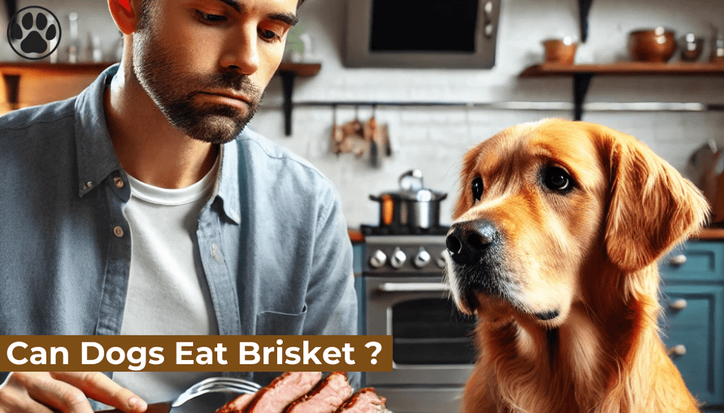 Can Dogs Eat Brisket ?