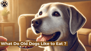 What Do Old Dogs Like to Eat ?