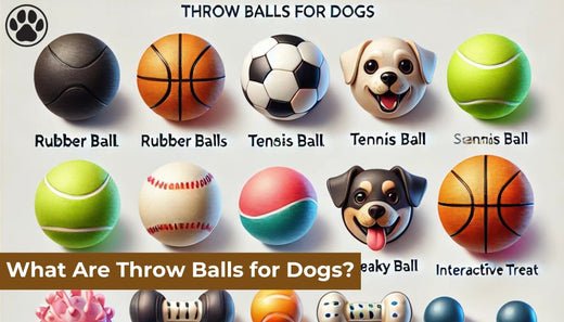 What Are Throw Balls for Dogs?