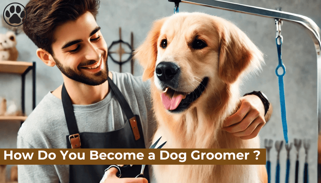 How Do You Become a Dog Groomer ?