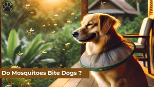 Do Mosquitoes Bite Dogs ?