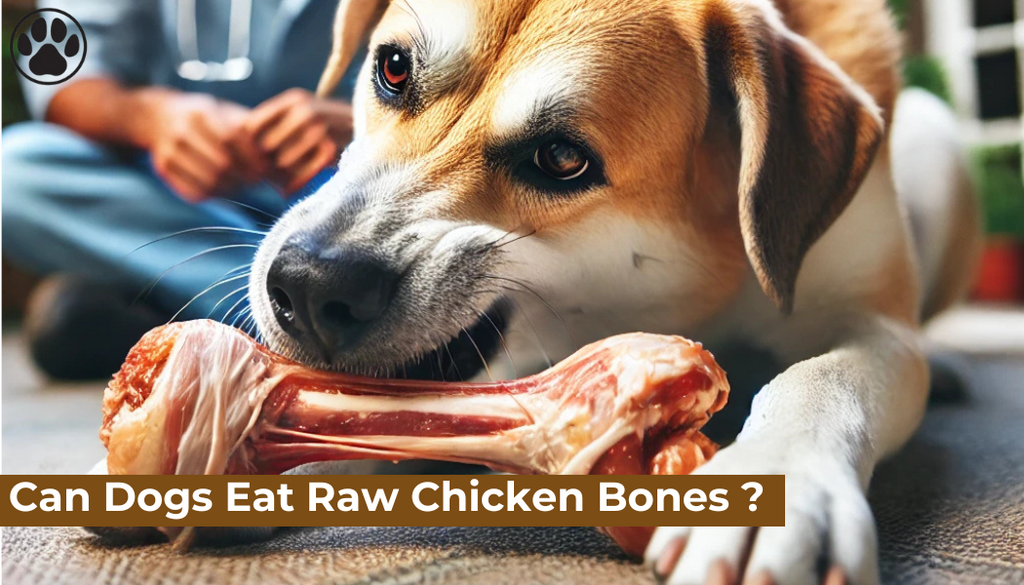 Can Dogs Eat Raw Chicken Bones ?