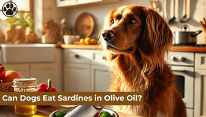 Can Dogs Eat Sardines in Olive Oil?