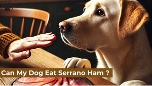 Can My Dog Eat Serrano Ham ?