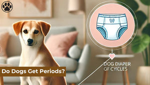 Do Dogs Get Periods?