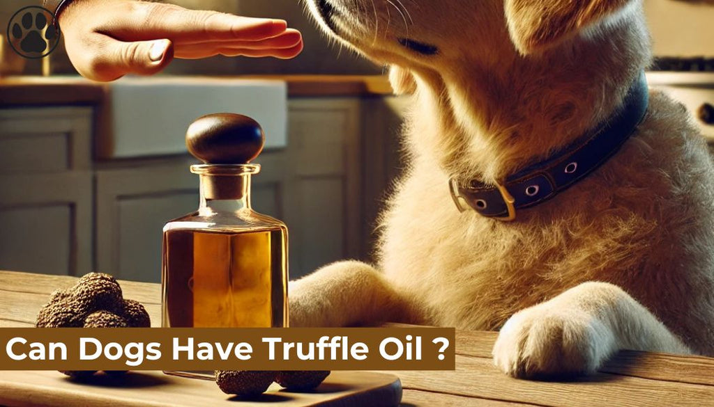 Can Dogs Have Truffle Oil?