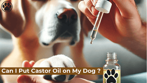 Can I Put Castor Oil on My Dog ?