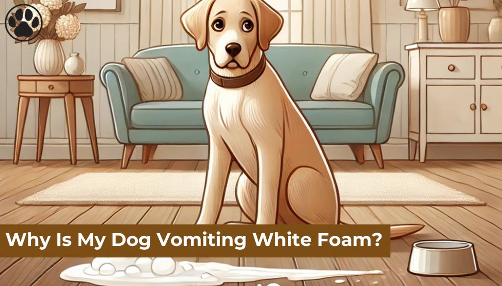 Why Is My Dog Vomiting White Foam?