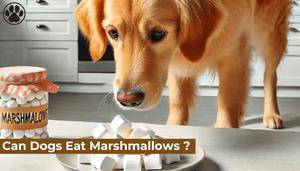 Can Dogs Eat Marshmallows ?