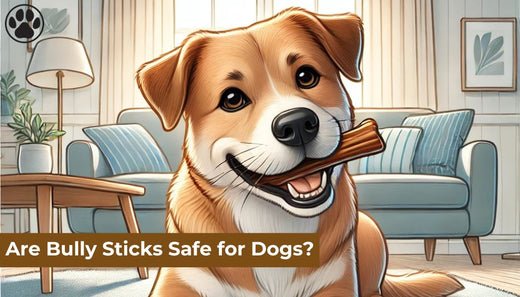 Are Bully Sticks Safe for Dogs?