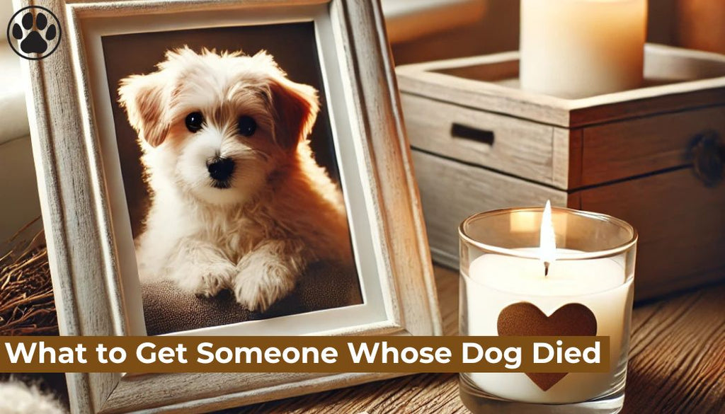 What to Get Someone Whose Dog Died ?