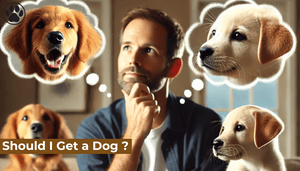 Should I Get a Dog ?
