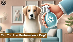 Can You Use Perfume on a Dog?