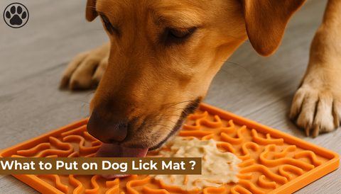 What to Put on Dog Lick Mat ?
