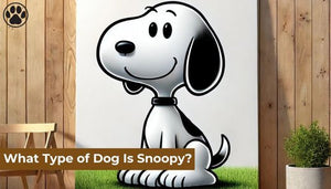 What Type of Dog Is Snoopy?