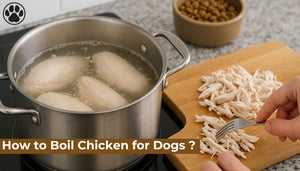 How to Boil Chicken for Dogs ?