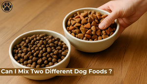 Can I Mix Two Different Dog Foods ?
