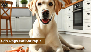 Can Dogs Eat Shrimp ? 