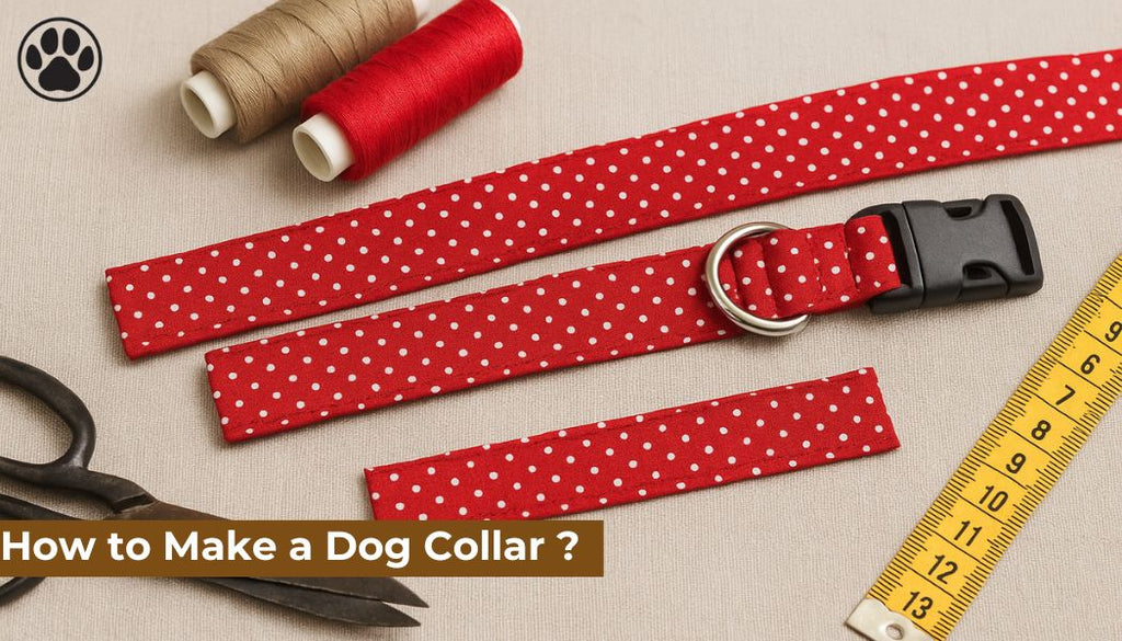 How to Make a Dog Collar ?