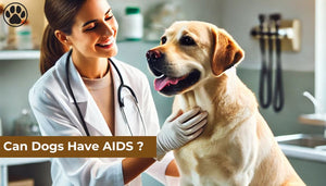 Can Dogs Have AIDS ?