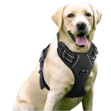 Dog Collar Harness