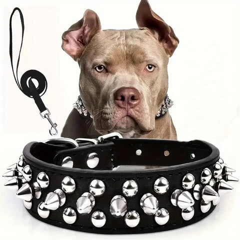 Dog Spiked Collar