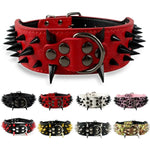 Dog Spiked Collar