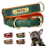 Double Layer Dog Collar