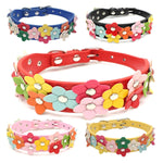 Flower Dog Collar