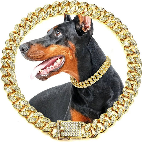 Gold Dog Collar