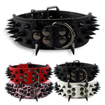 Dog Black Spiked Collar