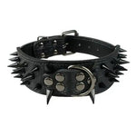 Dog Black Spiked Collar