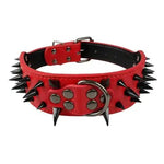 Dog Black Spiked Collar