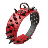 Dog Black Spiked Collar