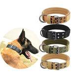 Nylon Dog Collar