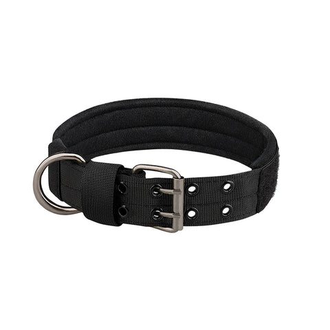 Nylon Dog Collar