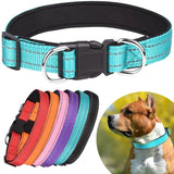 Reflective Dog Collar