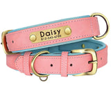 Double Layer Dog Collar