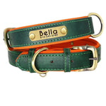 Double Layer Dog Collar