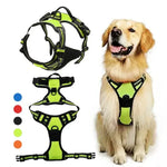 Reflective Adjustable Dog Harness