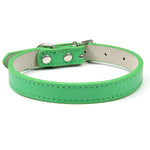 Dog Collar Soft Leather