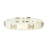 Bone Dog Collar