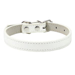 Dog Collar Soft Leather