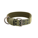 Nylon Dog Collar