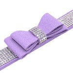 Bowknot Dog Collar