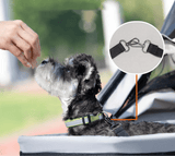 Dog Wagon Stroller