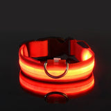 Led Dog Collar