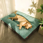 Big Winter Dog Mat